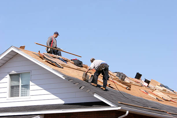 Best Roof Repair  in Walkersville, MD